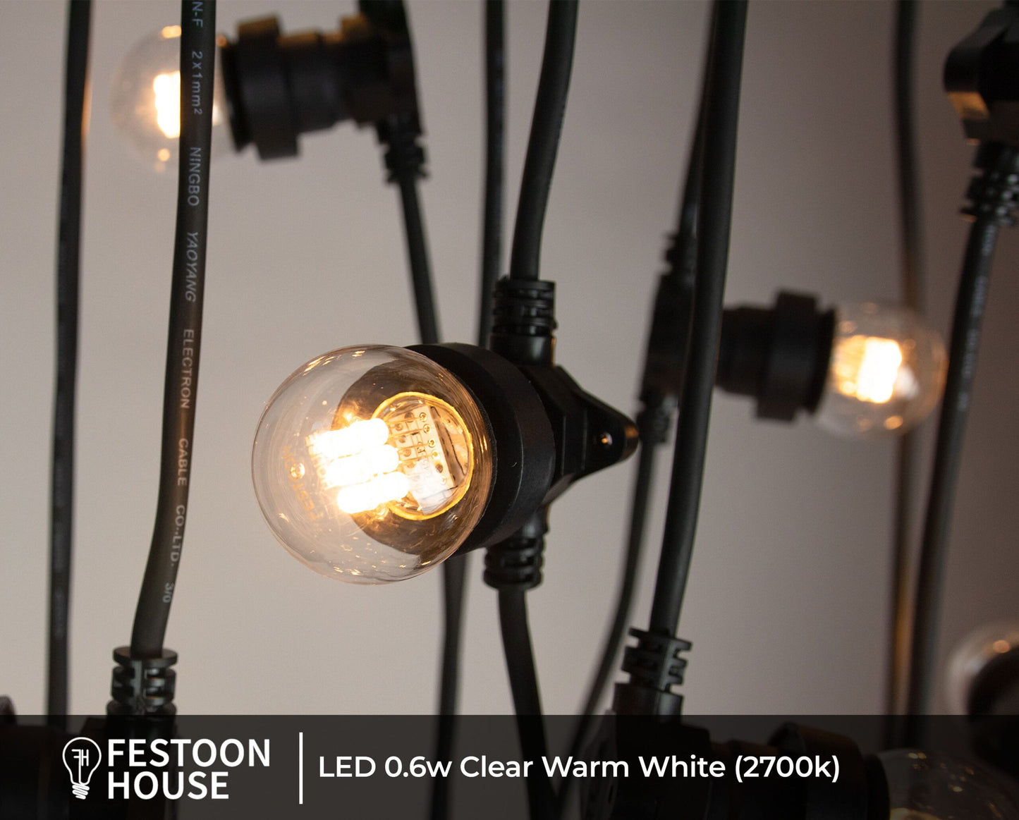 Festoon Lighting